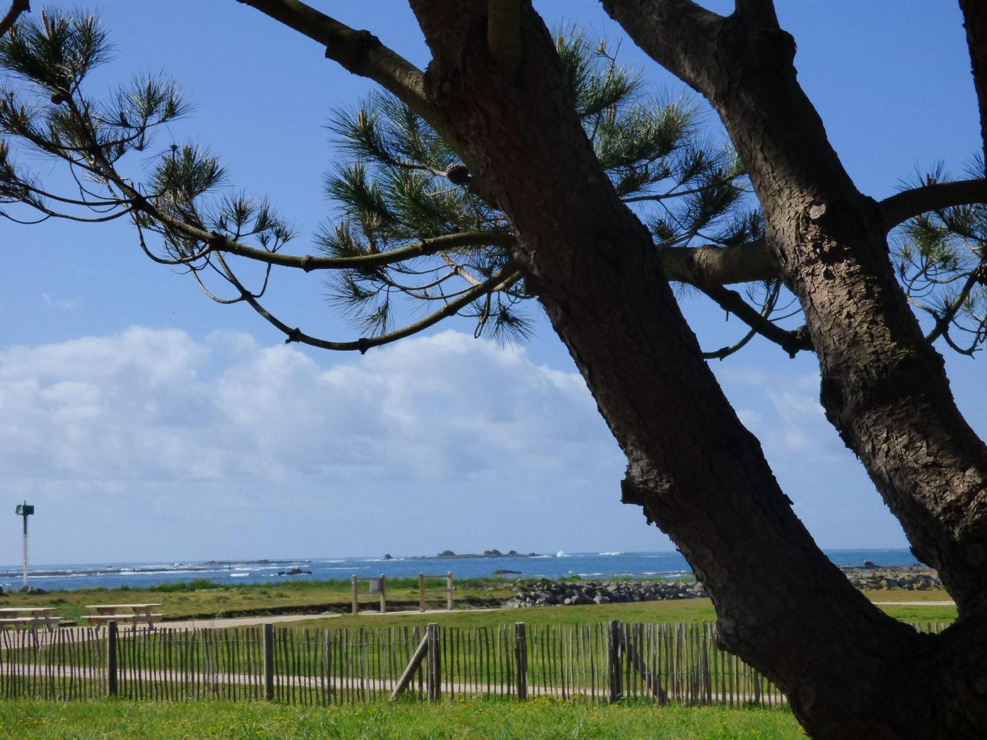Appart-Studios Vue Mer Panoramique St Guenole Cote Mer Penmarcʼh Стая снимка